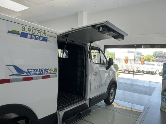Karry Dolphin EV 5 Doors 2 Seats Electric Logistics Minivan New Energy Truck for Urban Transport Household Use