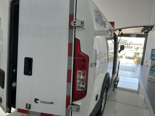 Karry Dolphin EV 5 Doors 2 Seats Electric Logistics Minivan New Energy Truck for Urban Transport Household Use
